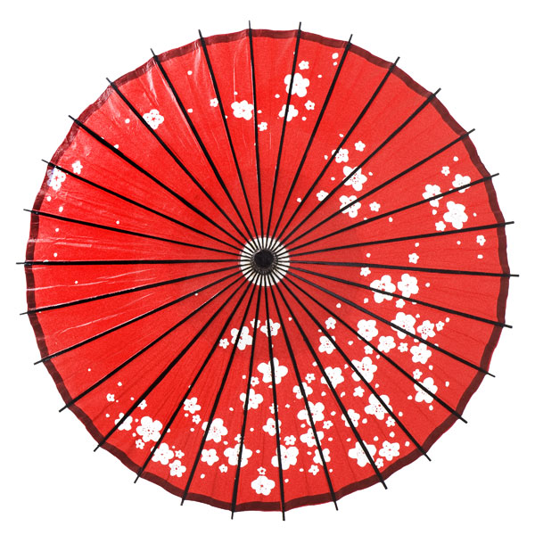 Prav japonsk slunenk z bambusu a japonskho papru vestkov kvt