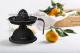 Lis na citrusy Concept CE3541 ern